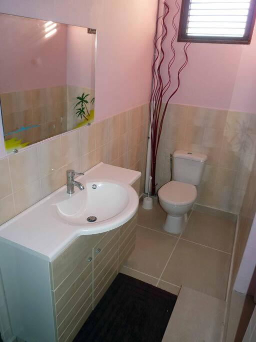 Logement Dans Un Lieu Calme Et Verdoyant A Proximite De Tout Avec Jacuzzi!!! Basse-Terre Exterior foto